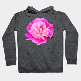 Bright pink peony Hoodie